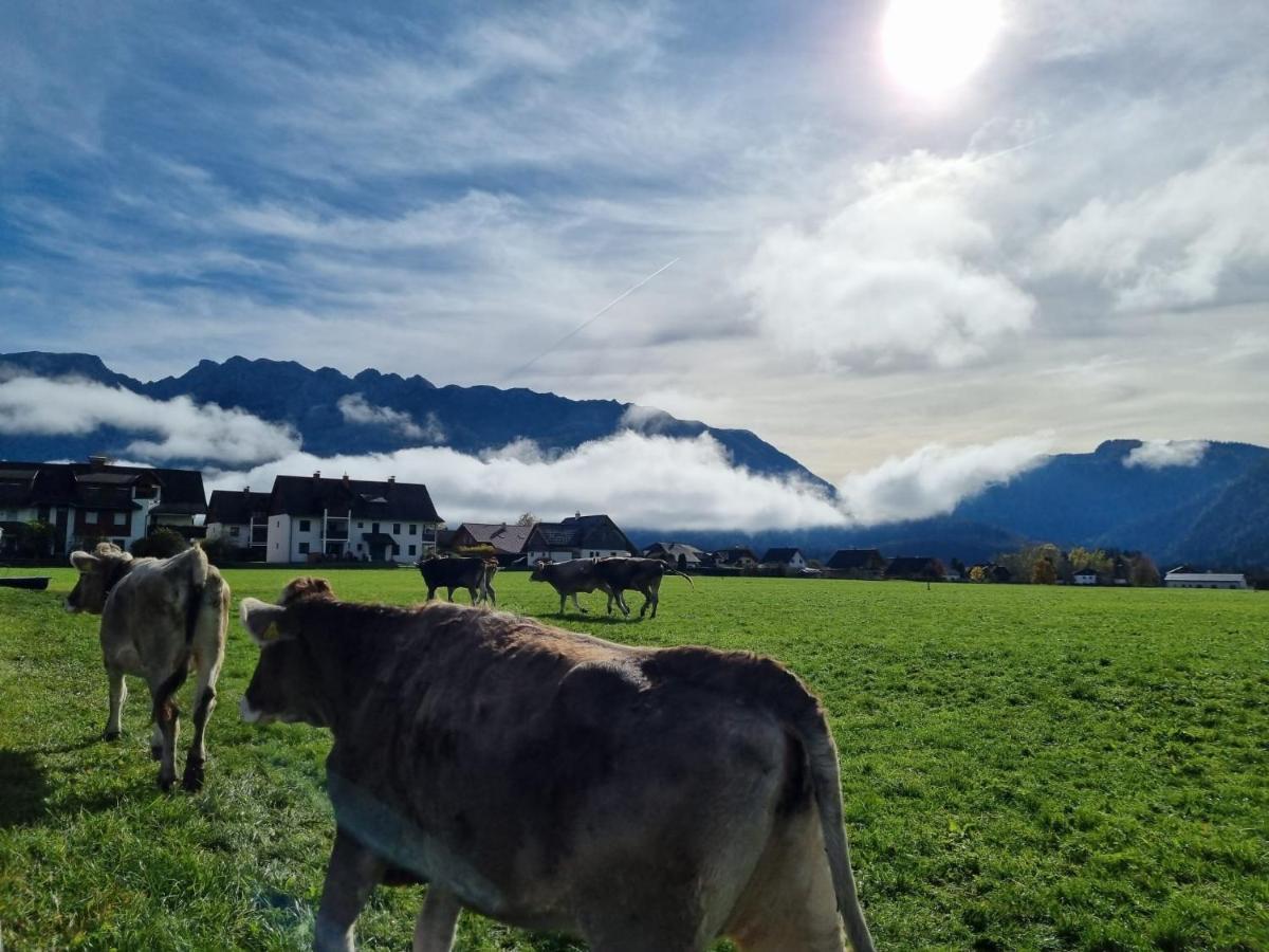 Urlaub Am Bauernhof Bei Familie Steinbrecher Bad Mitterndorf Exteriér fotografie
